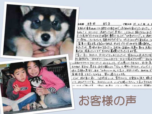 koe045-puppy koe045-puppy