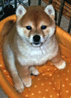 masuda-phot1 (1)