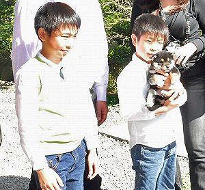 DSC_0012SHIBASHIBA