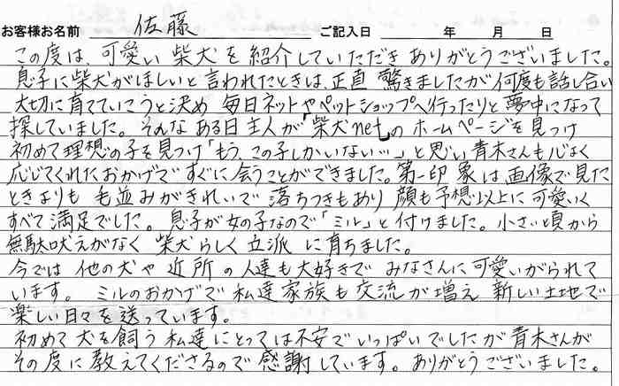 satou-koe