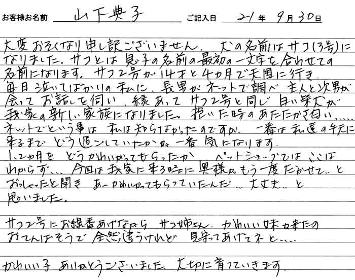 yamashita