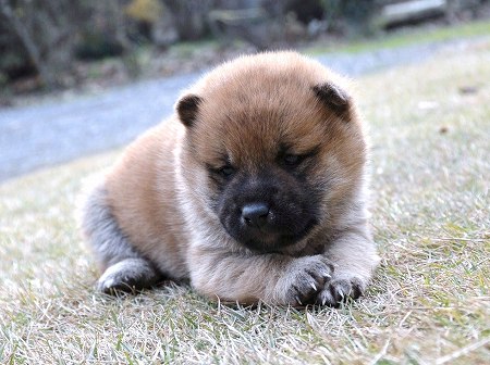 DSC_0198s- DSC_0198s-
