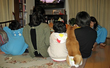 IMG_3054Shiba