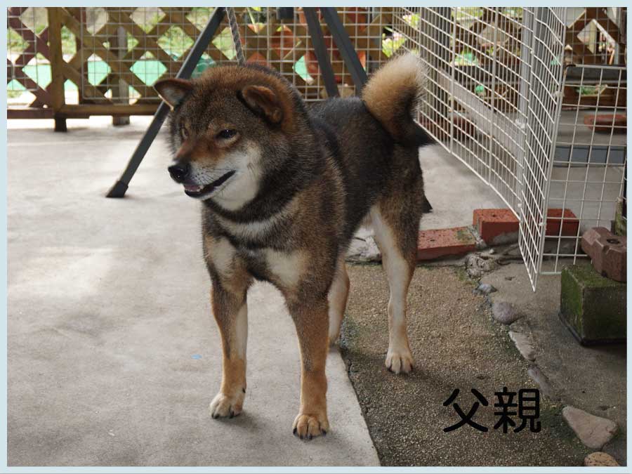 2014.4.29titi1