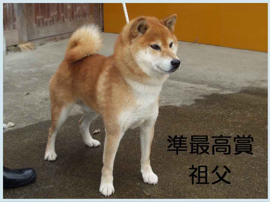 京丹波