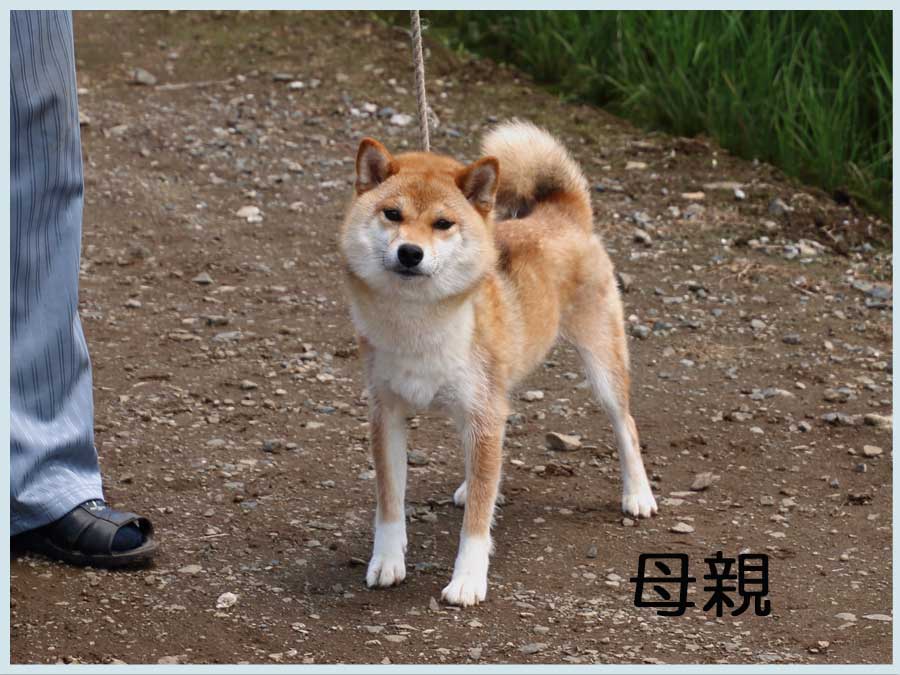 2014.5.30haha3