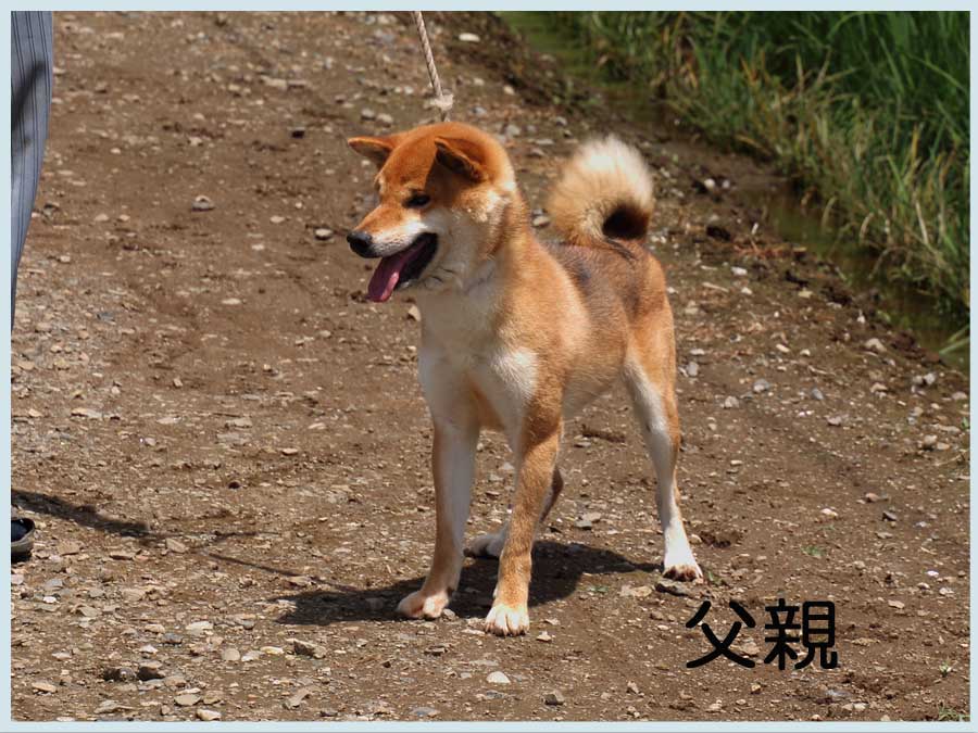 2014.5.30titi3