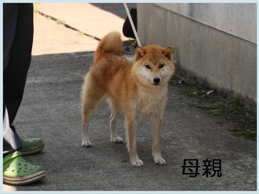 2014.5.3haha