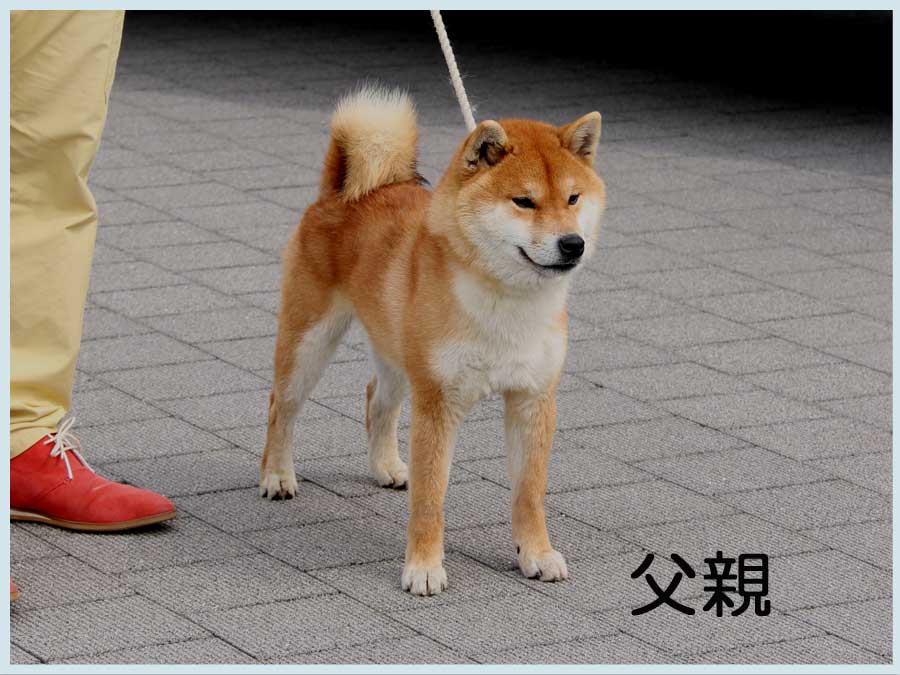 2014.5.4titi