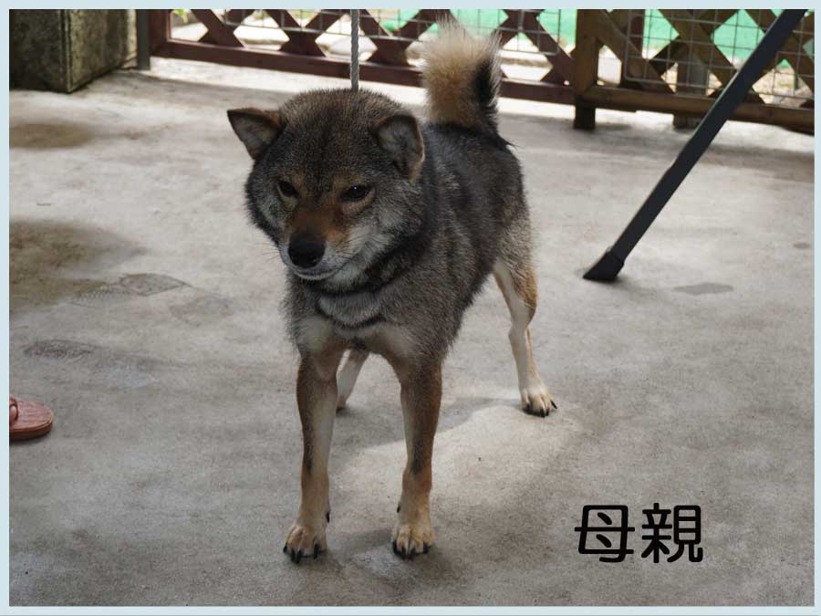 2014.5.8haha