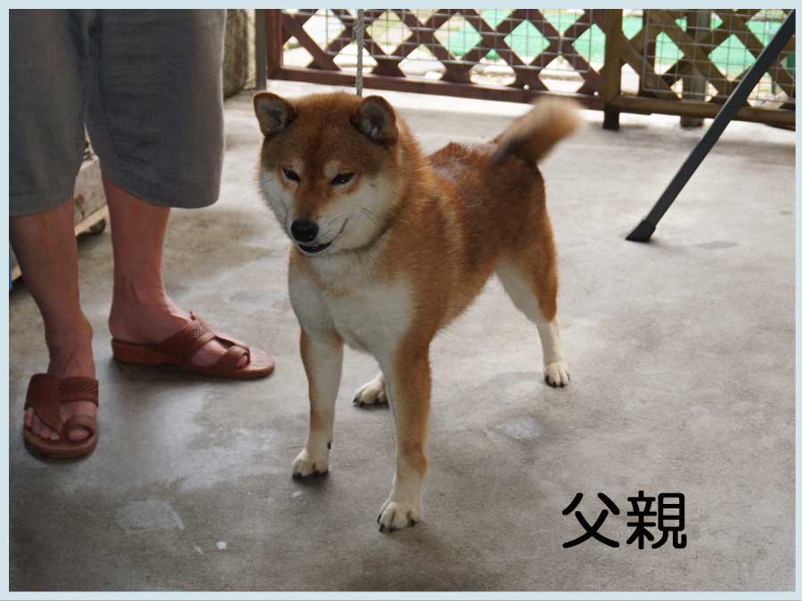 2014.5.8titi