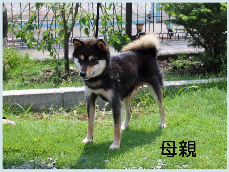 2014.6.4haha2