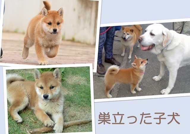 2224 2224