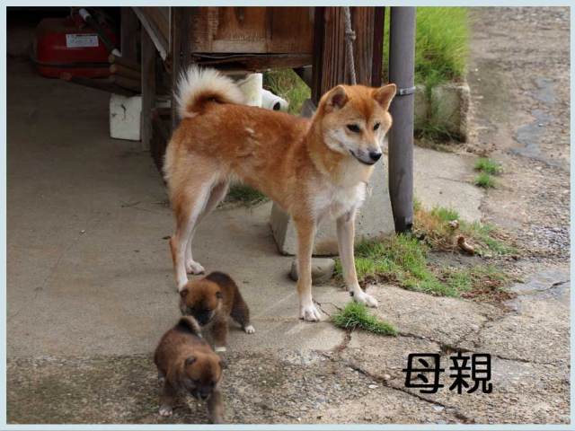2014.7.11haha