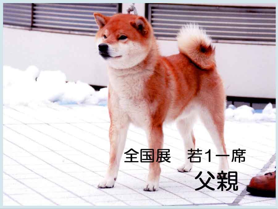 鈴天力