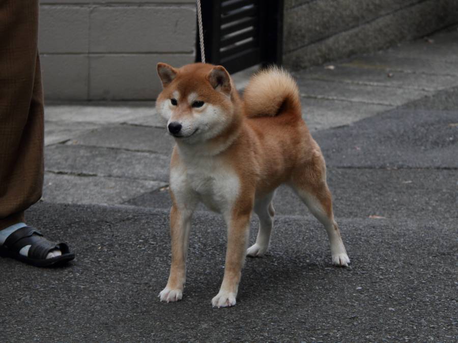 2013.11.4.10titi