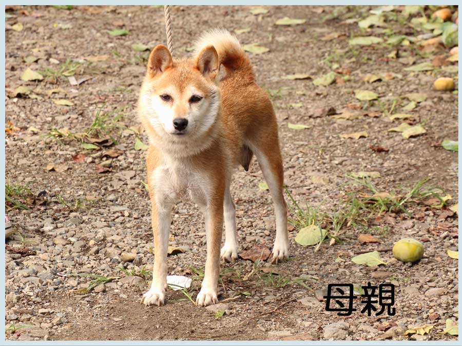 2014.7.23haha