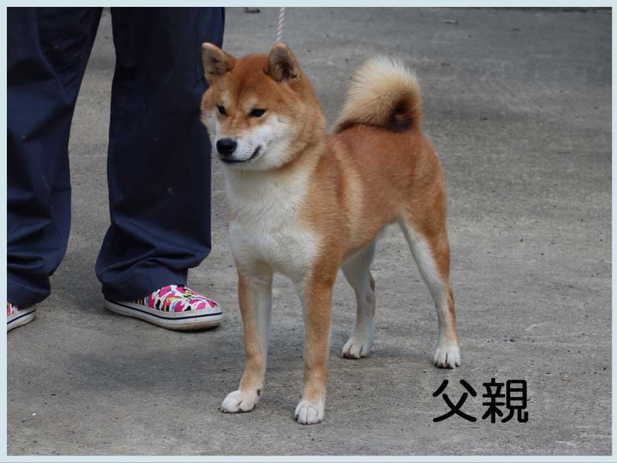 2014.7.27titi