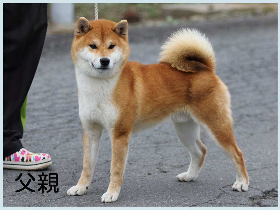 2014.8.21titi
