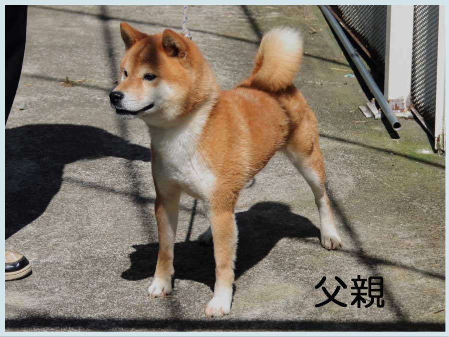 雪源