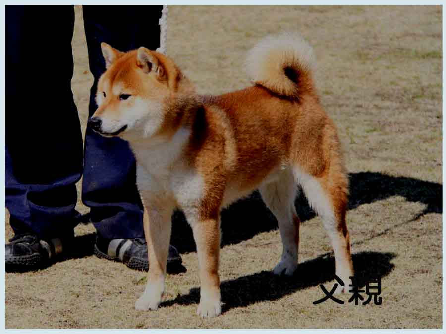 2014.3.21titi