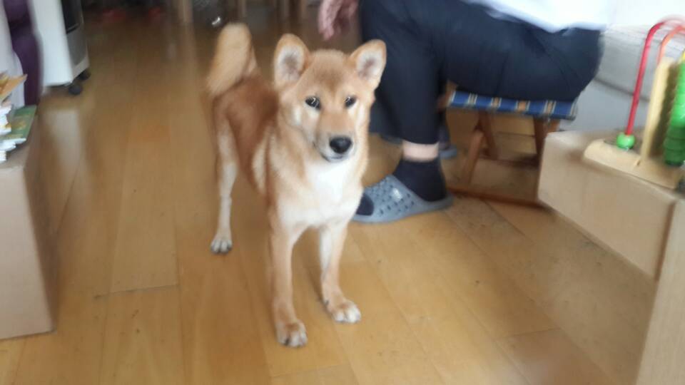 写真 (4)