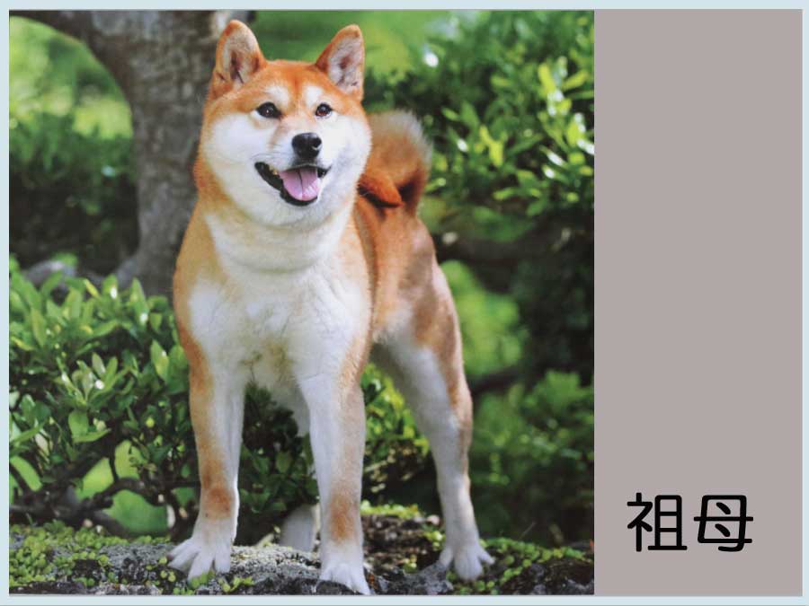 鈴海
