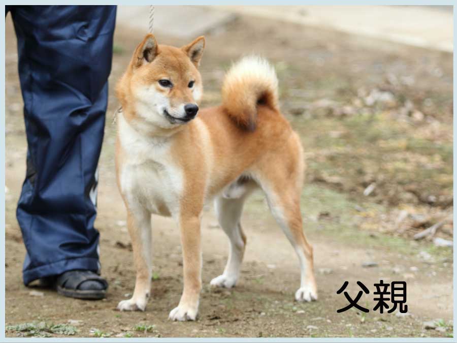 2014.10.3titi