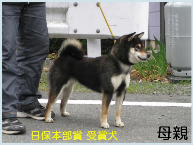 皇鈴の江号 皇鈴の江号