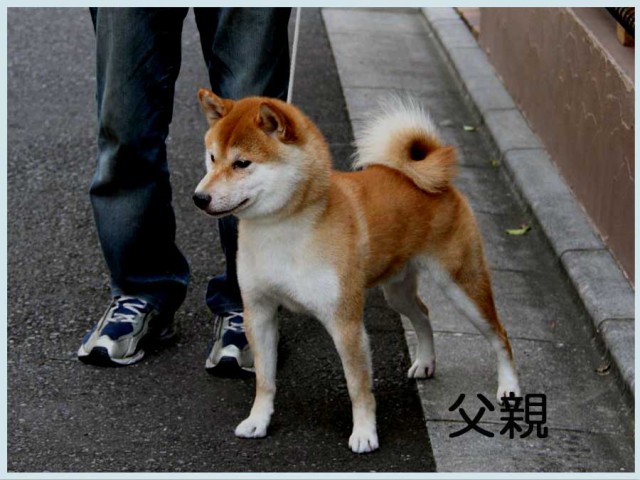 suzutake1 suzutake1