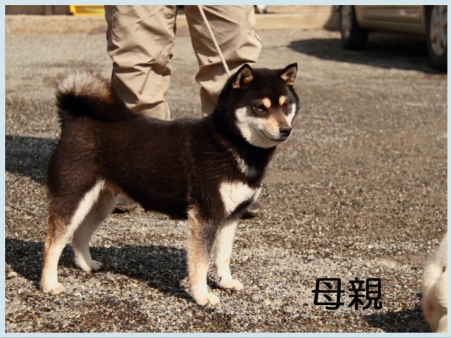 2015.2.24haha 2015.2.24haha