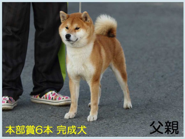 玄秀号1 玄秀号1