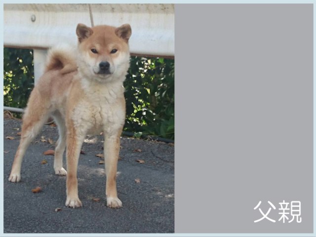 2015.3.23titi 2015.3.23titi