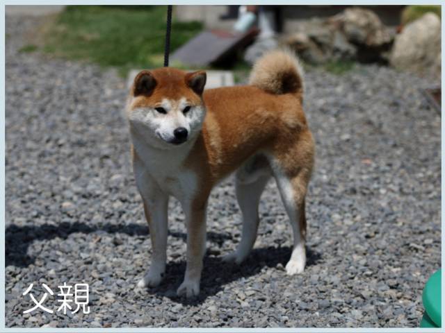 2015.4.6titi雄基丸号 2015.4.6titi雄基丸号