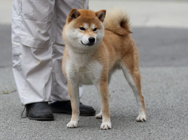 杜ノ富士丸号1 杜ノ富士丸号1