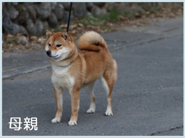 2015.4.20haha-2 2015.4.20haha-2