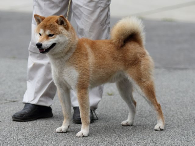 杜ノ富士丸号5 杜ノ富士丸号5