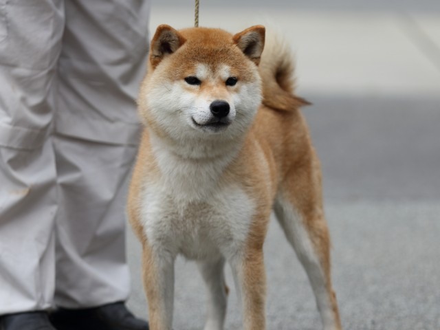 杜ノ富士丸号2 杜ノ富士丸号2