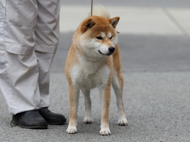 杜ノ富士丸号3 杜ノ富士丸号3