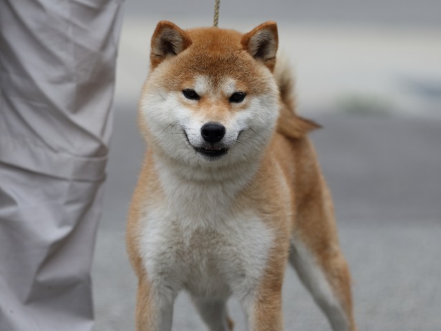 杜ノ富士丸号4 杜ノ富士丸号4