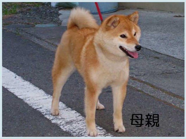 倫子 倫子