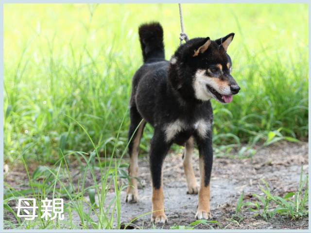2015.6.26haha 2015.6.26haha