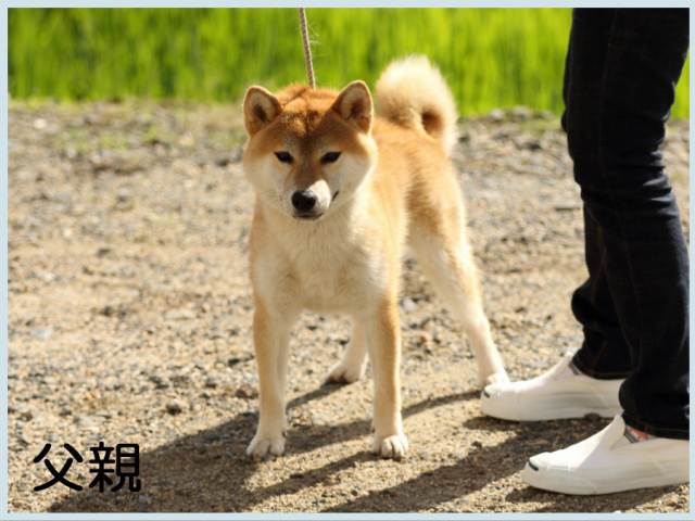 2015.7.16titi 2015.7.16titi