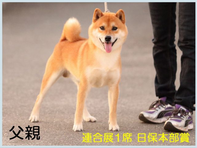 貴晴号 貴晴号
