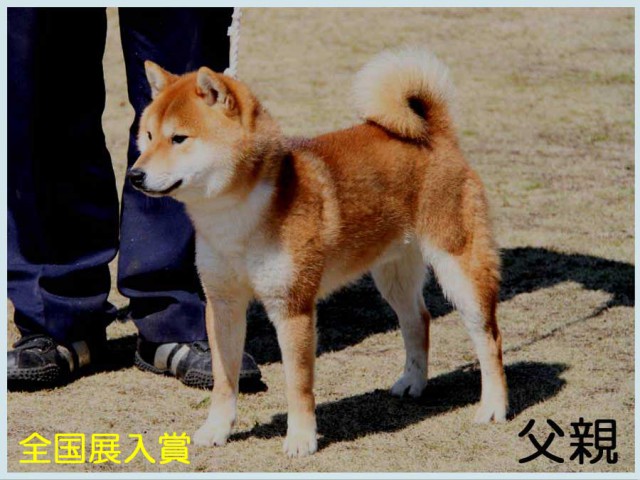 野州之桃源号 野州之桃源号
