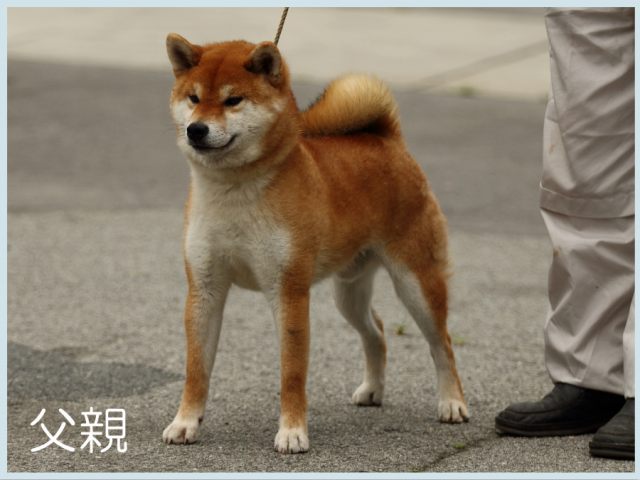 竜丸号 竜丸号