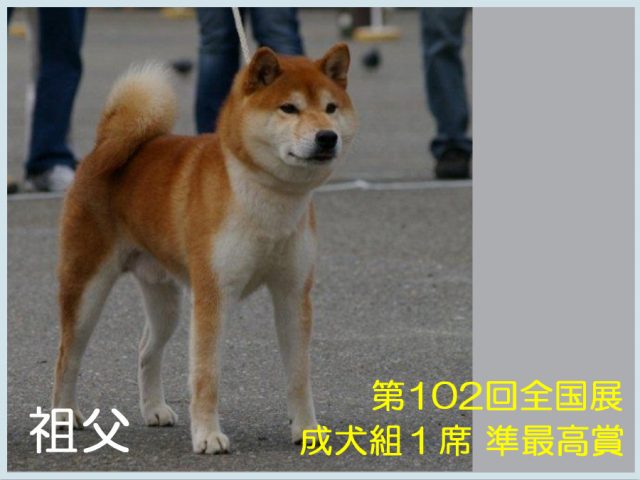 無双乃鈴春号 無双乃鈴春号