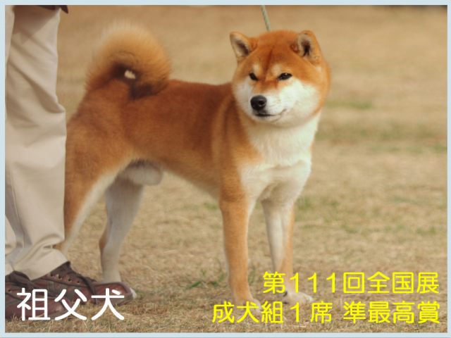 紅王丸号 紅王丸号