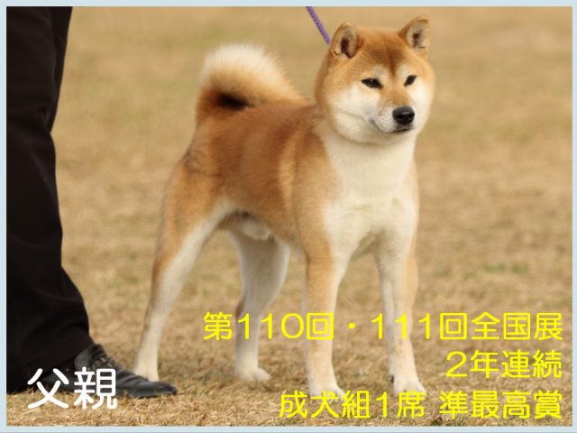 竜助号 竜助号