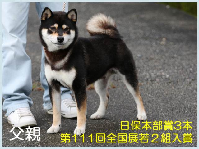 黒不動号 黒不動号